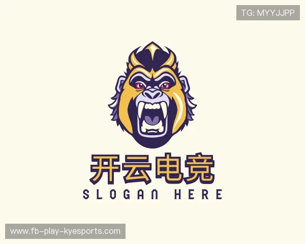 关于开云电竞官网